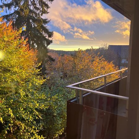 Moderne Und Zentral Gelegene Ferienwohnung In Braunlage Mit Rodelpiste Und Start Ski Langlauf In 300 Metern Entfernung Zewnętrze zdjęcie