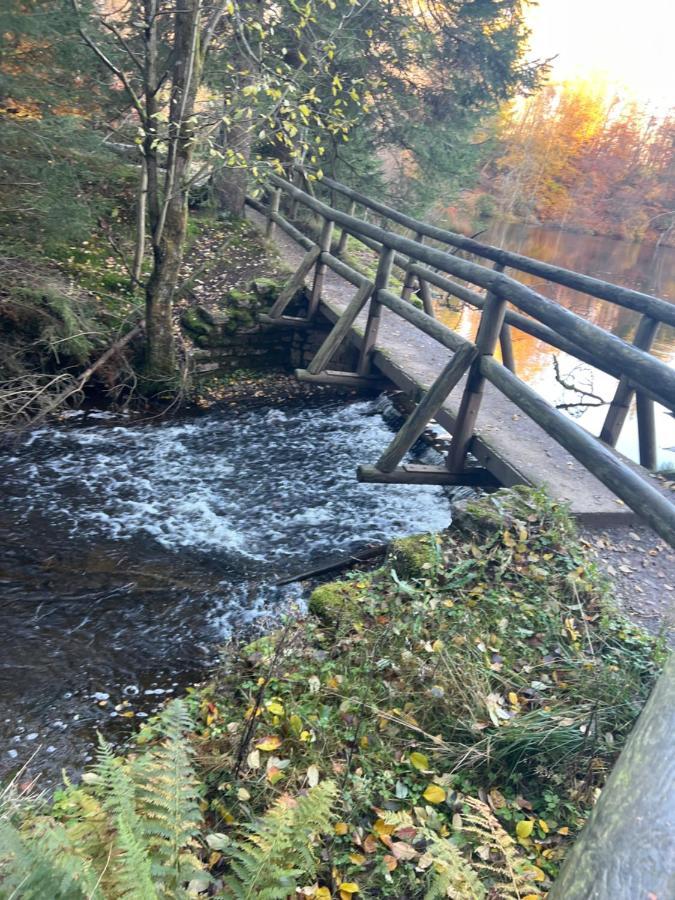 Moderne Und Zentral Gelegene Ferienwohnung In Braunlage Mit Rodelpiste Und Start Ski Langlauf In 300 Metern Entfernung Zewnętrze zdjęcie