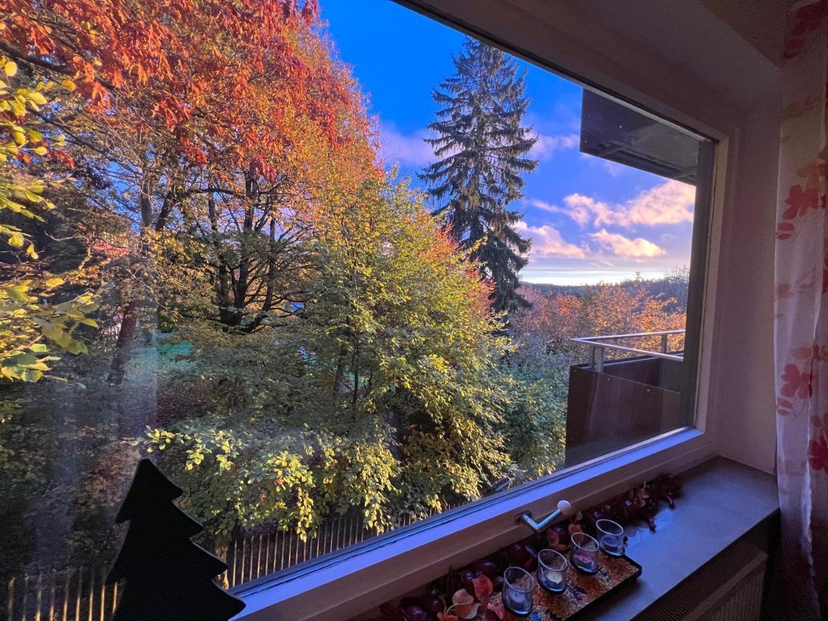 Moderne Und Zentral Gelegene Ferienwohnung In Braunlage Mit Rodelpiste Und Start Ski Langlauf In 300 Metern Entfernung Zewnętrze zdjęcie