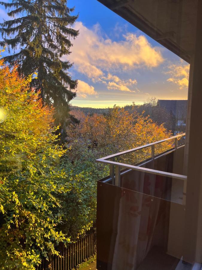Moderne Und Zentral Gelegene Ferienwohnung In Braunlage Mit Rodelpiste Und Start Ski Langlauf In 300 Metern Entfernung Zewnętrze zdjęcie